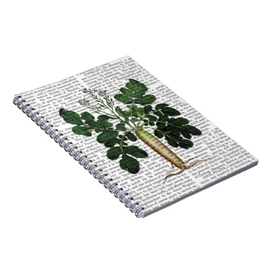 Paragraaf 3 notitieboek (Rechterzijde)