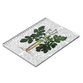 Paragraaf 3 notitieboek (Linkerzijde)