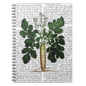 Paragraaf 3 notitieboek (Voorkant)