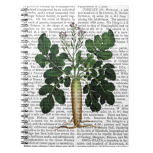 Paragraaf 3 notitieboek