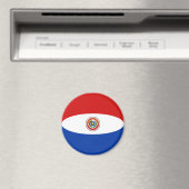 Paraguay Fisheye Vlagmagneet Magneet (Insitu (Vaatwasser))