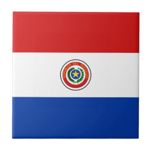 Paraguay Flag Ceramic Tile Tegeltje