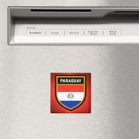 Paraguay Flag Magneet (Insitu (Vaatwasser))
