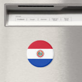 Paraguay Flag Magnet (Insitu (Vaatwasser))