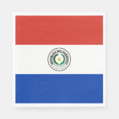 Paraguay Flag Servet (Voorkant)