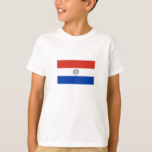 Paraguay Flag T-shirt