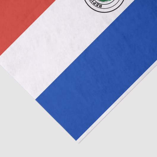 Paraguay Flag Tissuepapier (Detail)