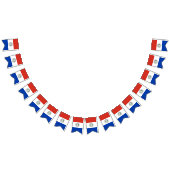 Paraguay Flag Vlaggetjes (Alle)