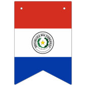 Paraguay Flag Vlaggetjes (Tweede vlag)