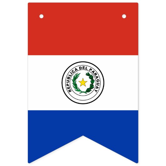 Paraguay Flag Vlaggetjes (Tweede vlag)