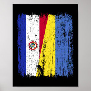 Paraguay Oekraine Half Vlag Paraguayaans Oekraïens Poster
