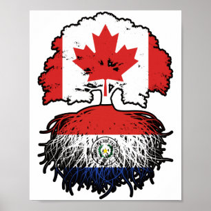 Paraguay Paraguayaanse Canada Canada - boomstammen Poster