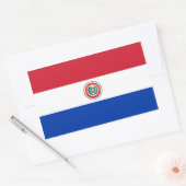 Paraguay/Paraguayaanse vlag Rechthoekige Sticker (Envelop)