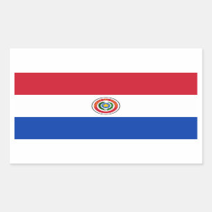 Paraguay/Paraguayaanse vlag Rechthoekige Sticker