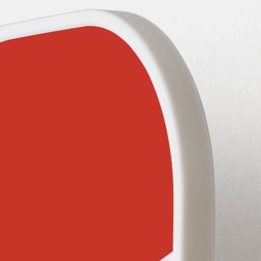 Paraguay Pickleball Paddle (Links Detail)