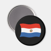 Paraguay Vlag Magneet (Voorkant / Achterkant)