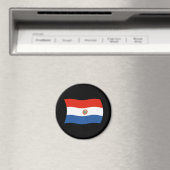 Paraguay Vlag Magneet (Insitu (Vaatwasser))