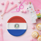 Paraguay Vlag Papieren Bordje (Feest)