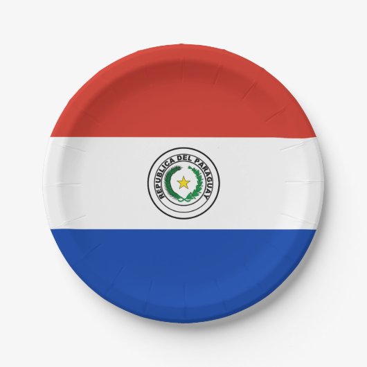 Paraguay Vlag Papieren Bordje (Voorkant)