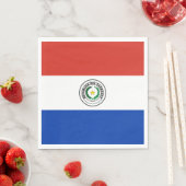 Paraguay Vlag Servet (Insitu)