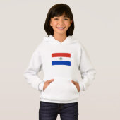 Paraguayaanse vlag (Voorkant volledig)
