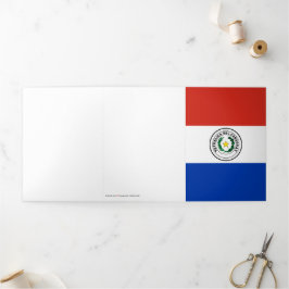 Paraguayaanse vlag drieluik kaart