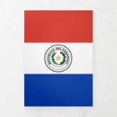 Paraguayaanse vlag drieluik kaart (Cover)