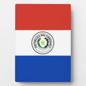 Paraguayaanse vlag fotoplaat (voorkant)
