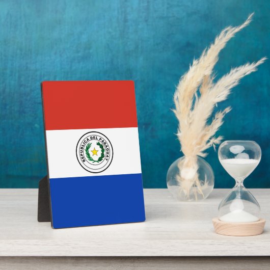 Paraguayaanse vlag fotoplaat (Zijkant)
