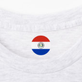 Paraguayaanse vlag labels (Aangebracht)