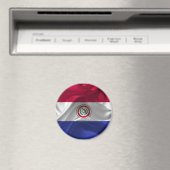 Paraguayaanse vlag magneet (Insitu (Vaatwasser))
