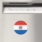 Paraguayaanse vlag magneet (Insitu (Vaatwasser))