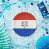 Paraguayaanse vlag papieren bordje (Feest)