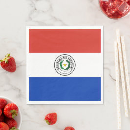 Paraguayaanse vlag servet
