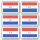Paraguayaanse vlag sticker (Voorkant)