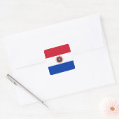 Paraguayaanse vlag vierkante sticker (Envelop)