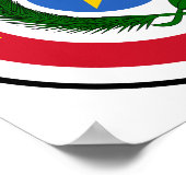 Paraguayaanse wapenstilstand poster (Hoek)