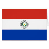 Paraguayese vlag (Voorkant Horizontaal)