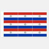 Paraguayese vlag labels (Vel)