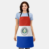 Paraguayese vlag schort (Gedragen)