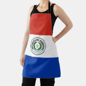 Paraguayese vlag schort (Insitu)