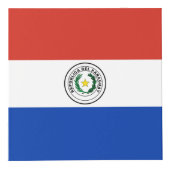 Paraguayse vlag kubus (Voorkant)