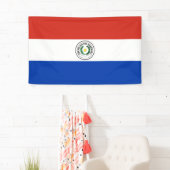 Paraguayse vlag spandoek (Insitu)