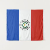 Paraguayse vlag wandkleed (Voorkant (horizontaal))