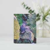 Parakeet Auklet Briefkaart (Staand voorkant)