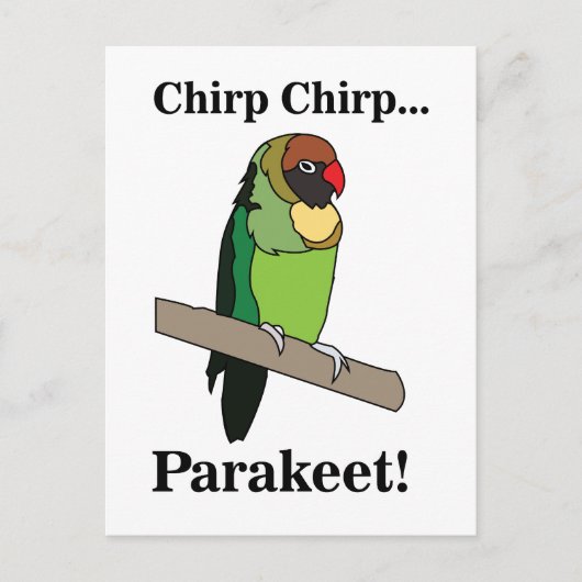 Parakeet Bird  Briefkaart (Voorkant)