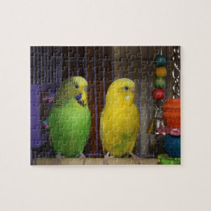 Parakeet Bird Puzzle Legpuzzel