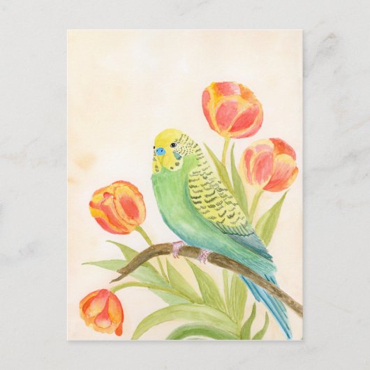 Parakeet with Tulips  Briefkaart (Voorkant)
