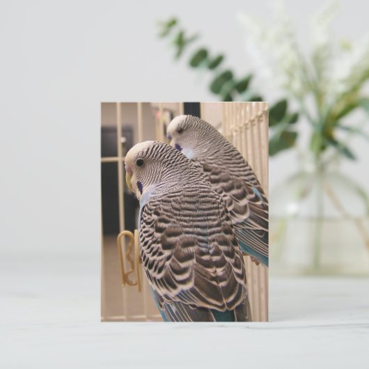 Parakeets Briefkaart (Staand voorkant)