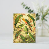 Parakeets Briefkaart (Staand voorkant)